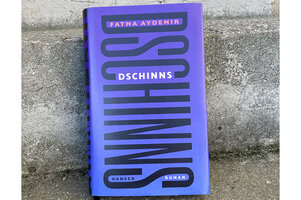 Cover von Aydemir Fatma: Dschinns