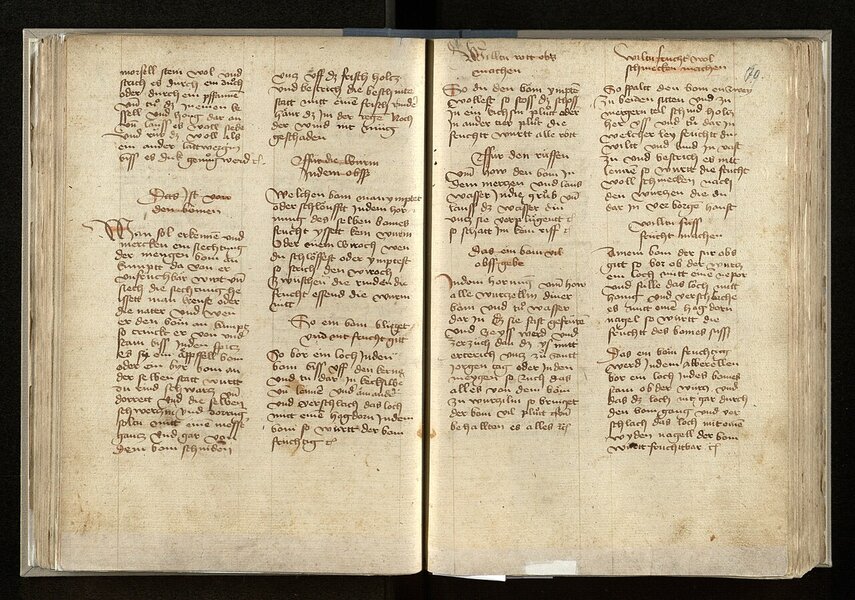 Handschrift aus der Stabi